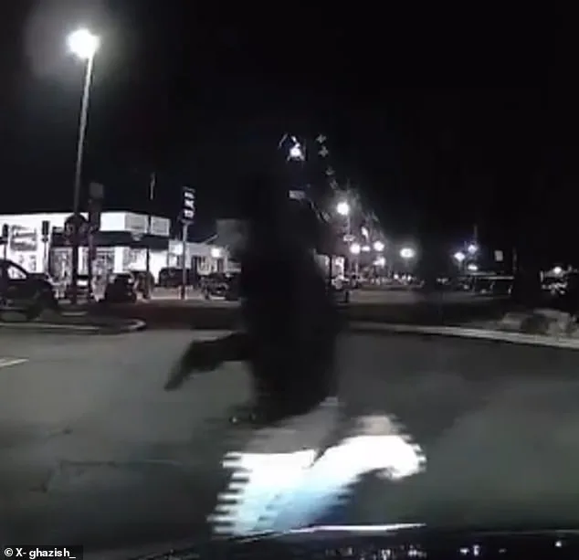 Surveillance Footage Shows Masked Shooter Fleeing After Deadly Chick-fil-A Shooting in Union Township, NJ Leaves 6 Injured, 1 Dead