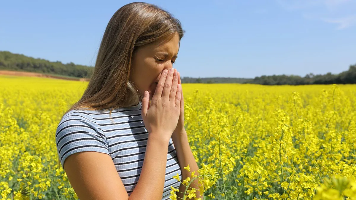 Allergy Capital: Boise Takes Top Spot as Pollen Levels Spike.