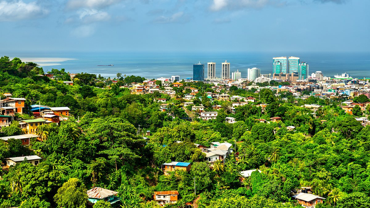 Police discover 50 infant and six adult remains in illegal dump