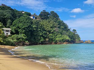 Police discover 50 infant and six adult remains in illegal dump