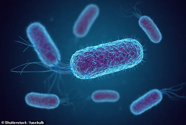 Shigella Infections: A Rising Threat, No Simple Solution