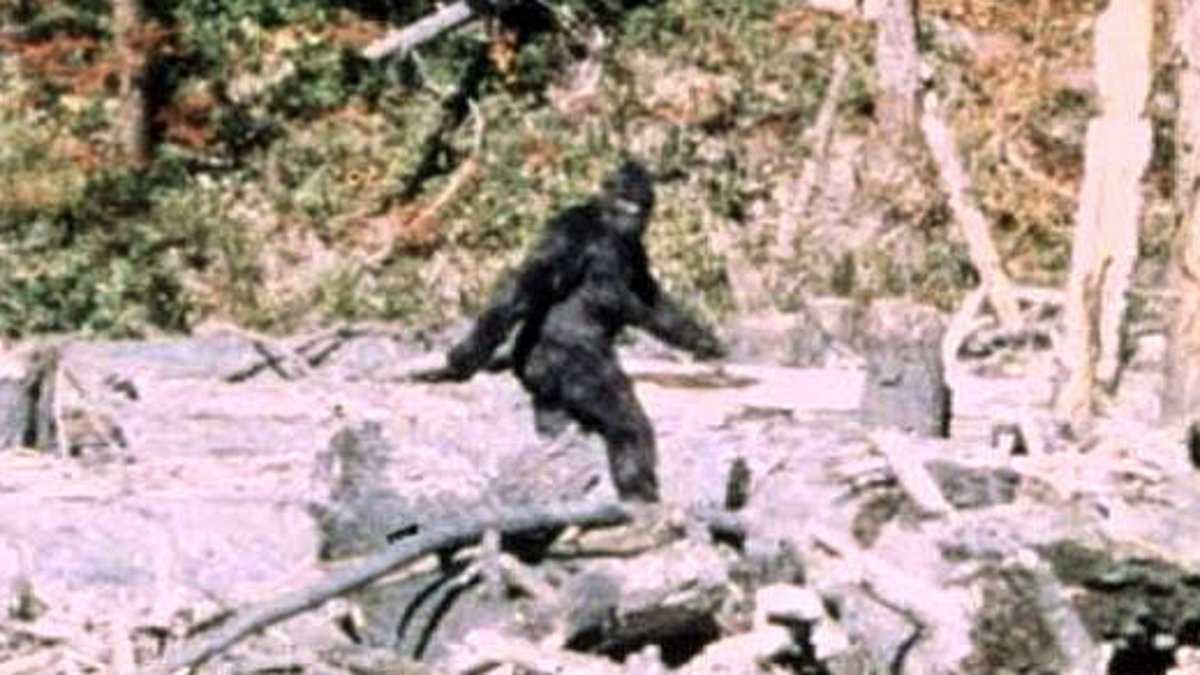 Former Army Veteran Claims Massive Cryptid Encounter Changed His Life Forever