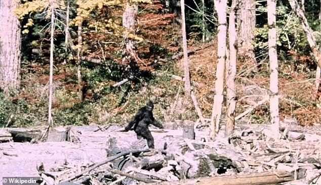 Former Army Veteran Claims Massive Cryptid Encounter Changed His Life Forever