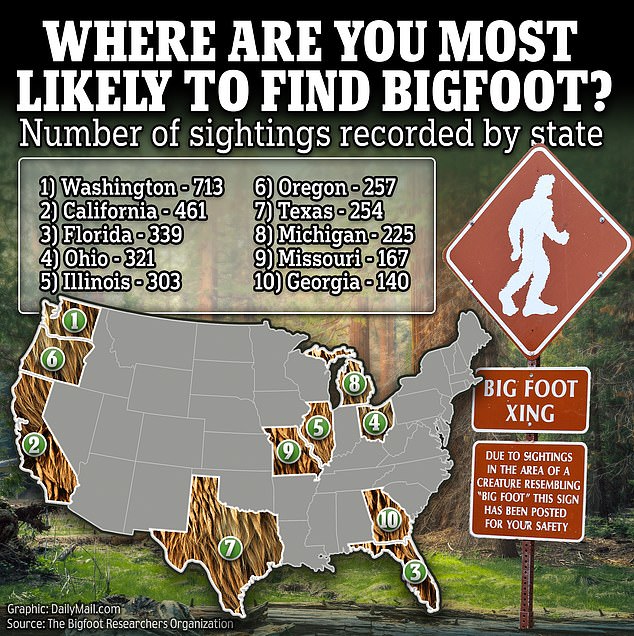 Former Army Veteran Claims Massive Cryptid Encounter Changed His Life Forever