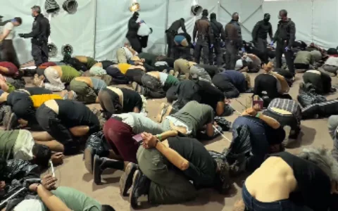 Hundreds of pro-Palestinian activists deported after detention during aid flotilla interception.