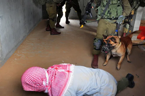 Hundreds of pro-Palestinian activists deported after detention during aid flotilla interception.