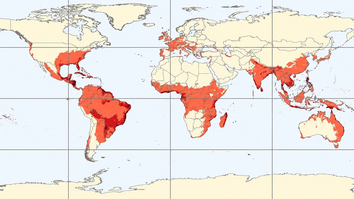 Climate change expands Asian tiger mosquito range, threatening Chikungunya spread in Europe and North America.