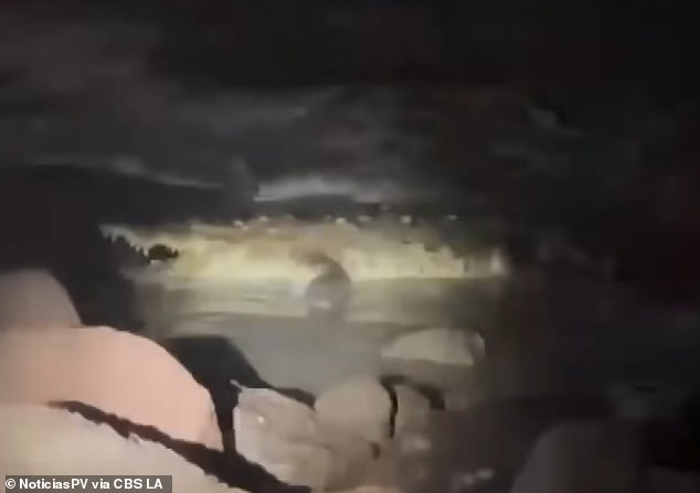 California couple rescues crocodile attack victim in Mexico then faces tragedy.