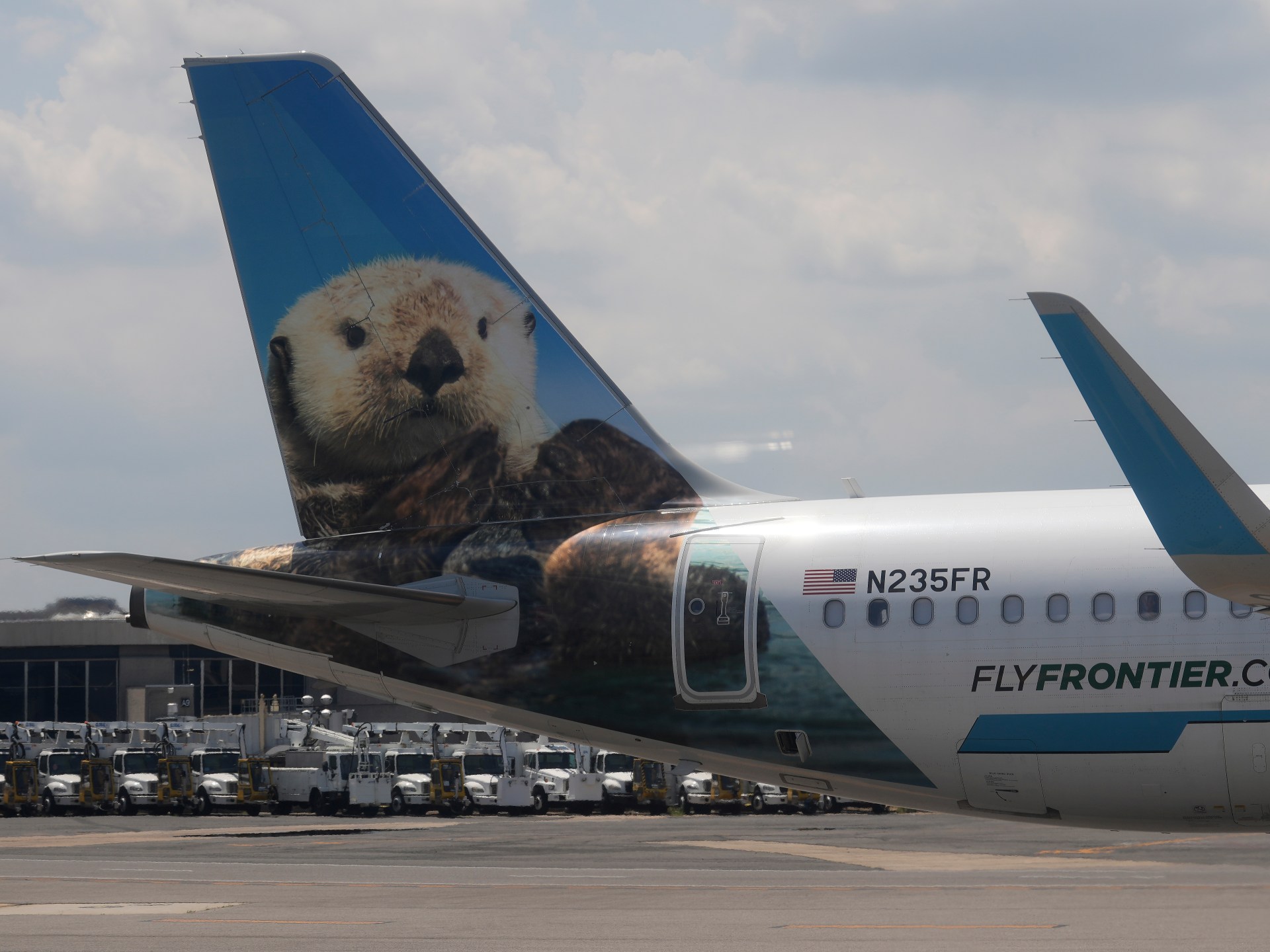 Soaring costs and geopolitical tension cancel nearly half of summer trips.
