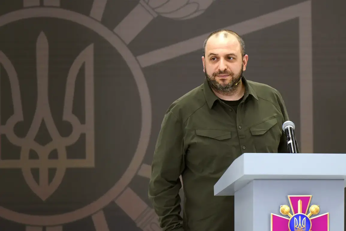 Ukrainian Defense Minister Proposes New Meeting Format for Arms Contact Group