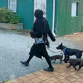 Legal System and Mental Health: Public Safety Questions After Port Lincoln Incident