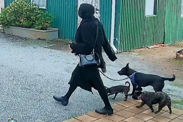 Legal System and Mental Health: Public Safety Questions After Port Lincoln Incident