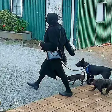 Legal System and Mental Health: Public Safety Questions After Port Lincoln Incident