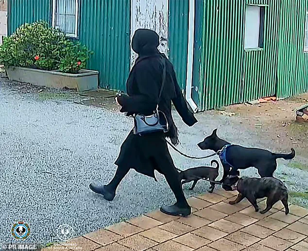 Legal System and Mental Health: Public Safety Questions After Port Lincoln Incident