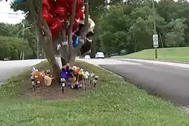North Carolina Parents Charged with Involuntary Manslaughter in Seven-Year-Old's Death