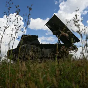 Pilot's First Shot Down in Pivotal Conflict Incident Sparks Debate Among Experts