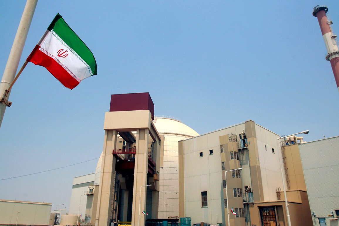 Stability at Iran's Bushehr Nuclear Plant Confirmed Amid Regional Tensions, Says Rosatom Director