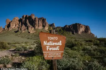 Suspicious Deaths in Tonto National Forest Spark Debate Over Public Safety Regulations