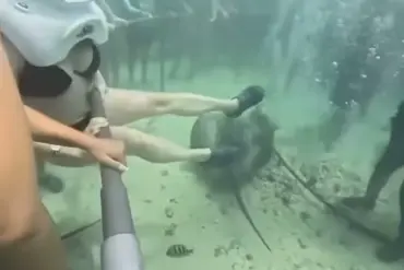 Xcaret Park Sea Trek Incident: Tourist's Dislodged Helmet Sparks Safety Discussions After Underwater Rescue