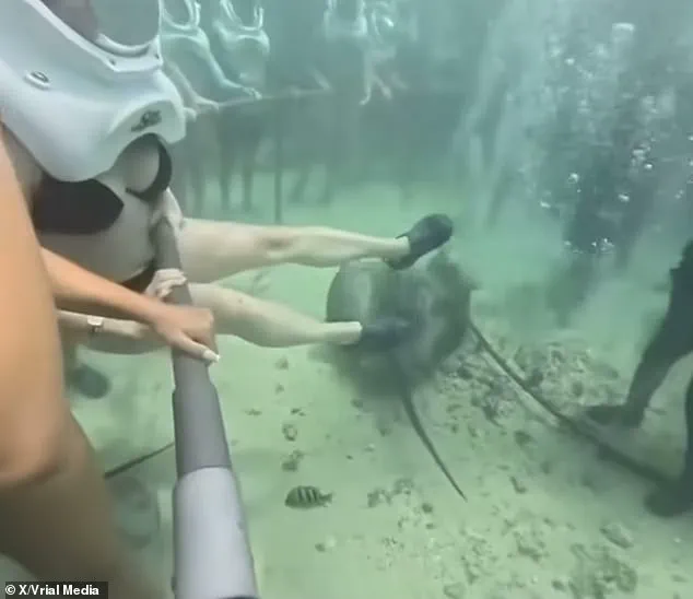 Xcaret Park Sea Trek Incident: Tourist's Dislodged Helmet Sparks Safety Discussions After Underwater Rescue