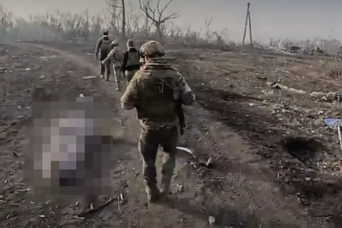Behind Closed Doors: Putin's Strategic Honors and the Quest for Peace in a War-Torn Region