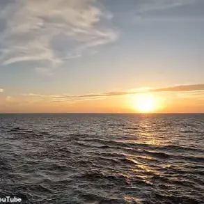 Disney Cruise Ship Incident Sparks Safety Concerns Amid High Passenger Numbers