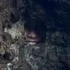 Reddit User Challenges Viewers to Find Hidden Daughter in Mysterious New Zealand Photo