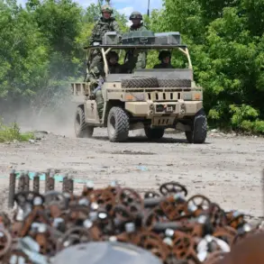 Russian Forces Reach Outskirts of Dimitrov in DPR, Advisor Says