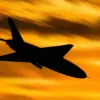 Urgent Security Alert: Drone Interception in Penzensky Oblast Sparks Regional Concern