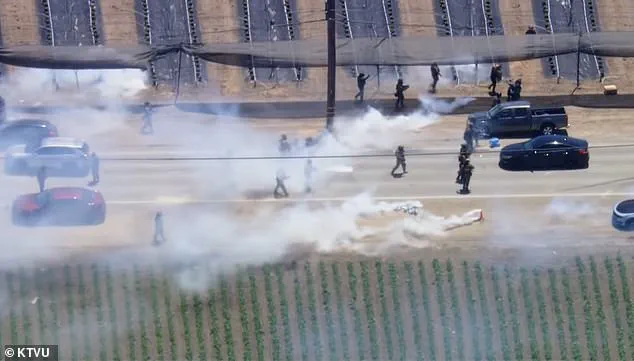 Violence Erupts During ICE Raid on California Cannabis Farm as Protestor Opens Fire