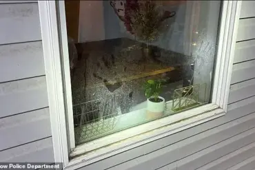 Chilling Photos from Idaho Home Where Bryan Kohberger Killed Four University of Idaho Students Revealed, Showing Bloody Crime Scene That Shocked Nation