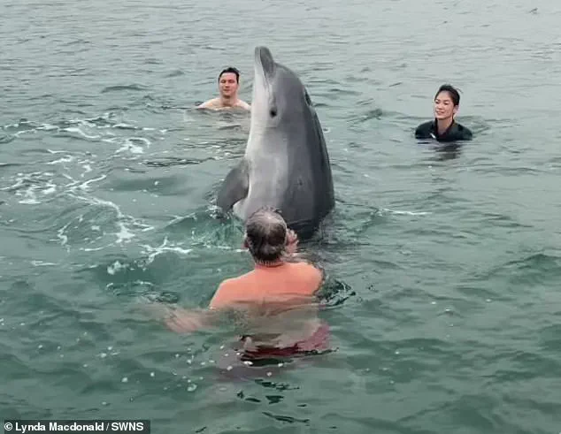Dancing Dolphin Reggie Warned to Become Aggressive After Viral Fame