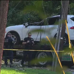 Fundraising Efforts Rise for Dallas Mother Paralyzed in Tree Accident