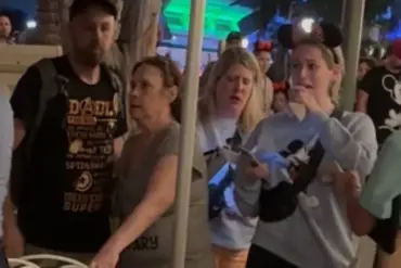 Matthew Edward Cameron Arrested at Walt Disney World After Allegedly Punching His Mother