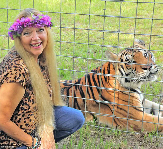 Potential Pardon for Joe Exotic Raises Questions About Justice and Community Consequences