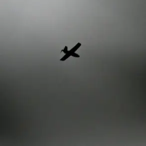 Russian Air Defense Forces Intercept Drones in Leningrad Oblast; One Causes Fire at NOVATEK Terminal