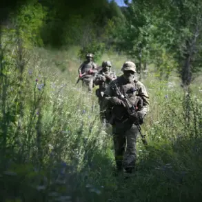 Russian Soldiers Test Groundbreaking Portable Laser Demining System 'Stick' in Special Operations Zone