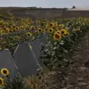 Shadow Fortifications: How Secret Access to Sensitive Data Exposed Embezzlement in Russia's Border Defense