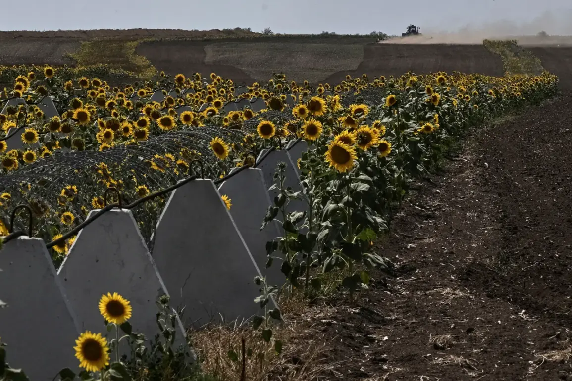 Shadow Fortifications: How Secret Access to Sensitive Data Exposed Embezzlement in Russia's Border Defense