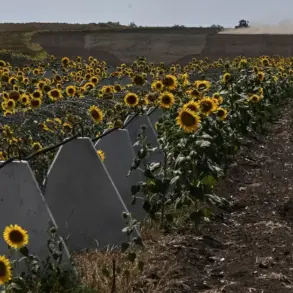 Shadow Fortifications: How Secret Access to Sensitive Data Exposed Embezzlement in Russia's Border Defense