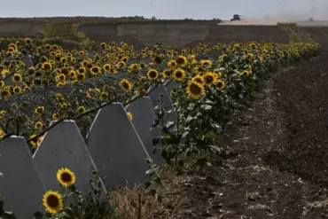 Shadow Fortifications: How Secret Access to Sensitive Data Exposed Embezzlement in Russia's Border Defense