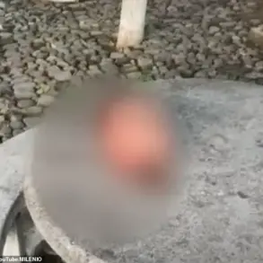 Six Severed Heads Found in Central Mexico, Residents Fear Escalating Cartel Violence