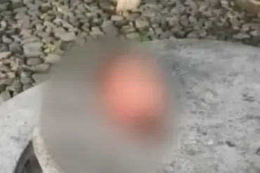 Six Severed Heads Found in Central Mexico, Residents Fear Escalating Cartel Violence