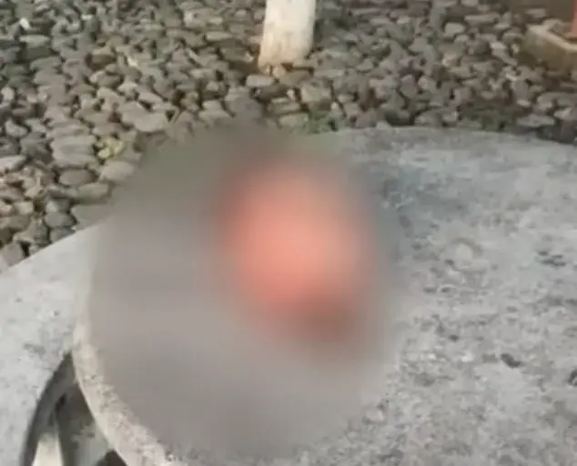 Six Severed Heads Found in Central Mexico, Residents Fear Escalating Cartel Violence