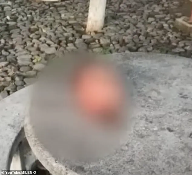 Six Severed Heads Found in Central Mexico, Residents Fear Escalating Cartel Violence