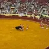 Tragic Death of Portuguese Bullfighter Sparks Debate Over Safety Regulations in Traditional Events
