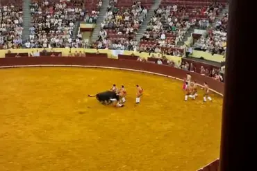 Tragic Death of Portuguese Bullfighter Sparks Debate Over Safety Regulations in Traditional Events