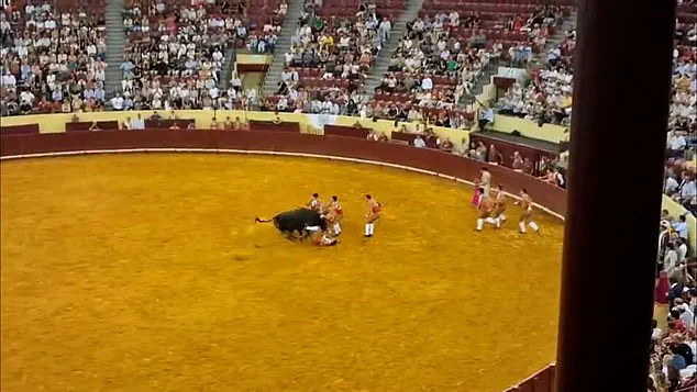 Tragic Death of Portuguese Bullfighter Sparks Debate Over Safety Regulations in Traditional Events