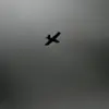 Ukrainian Drones Allegedly Responsible for Fire in Russian Village, Sparking Controversy