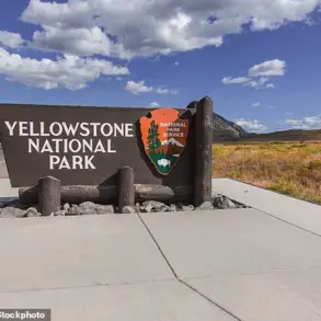 Jake Slater's Viral Bison 'Dance' Video Faces Backlash as Experts Warn of Alarming Behavior